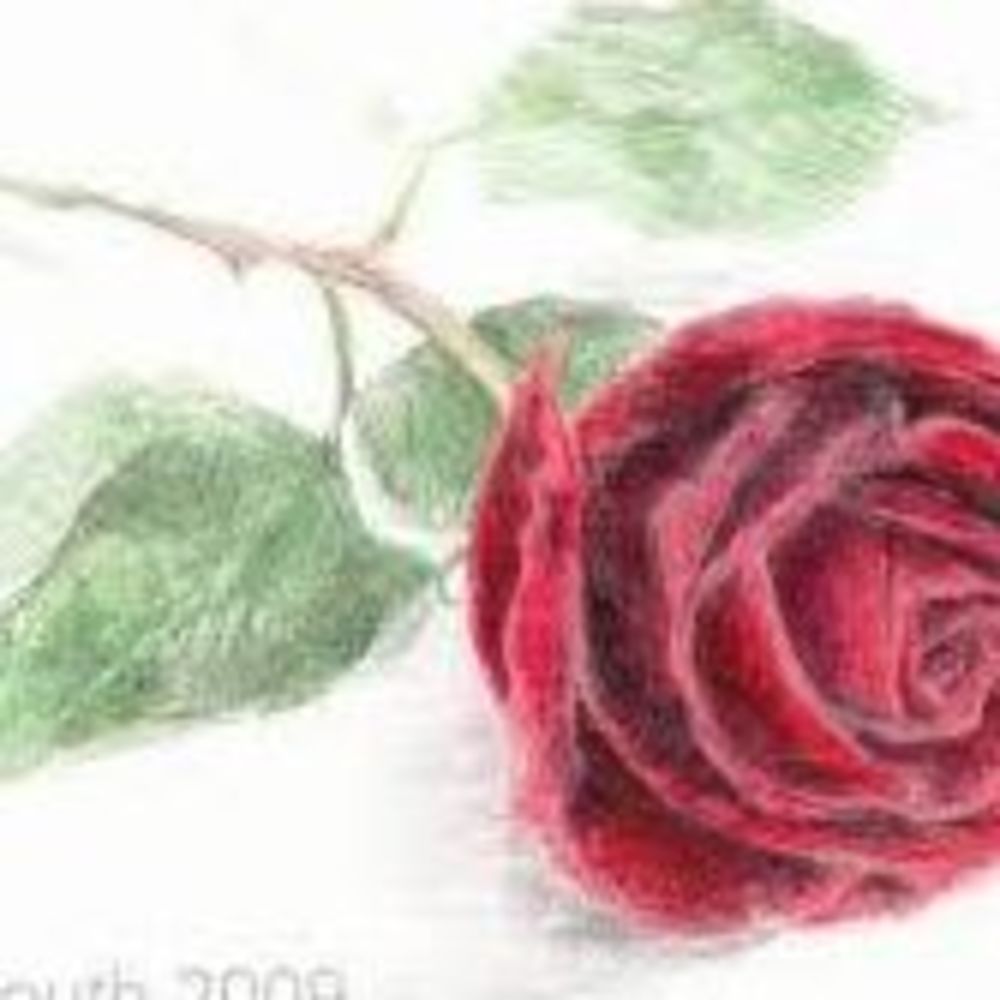 Meet your Posher, Ann